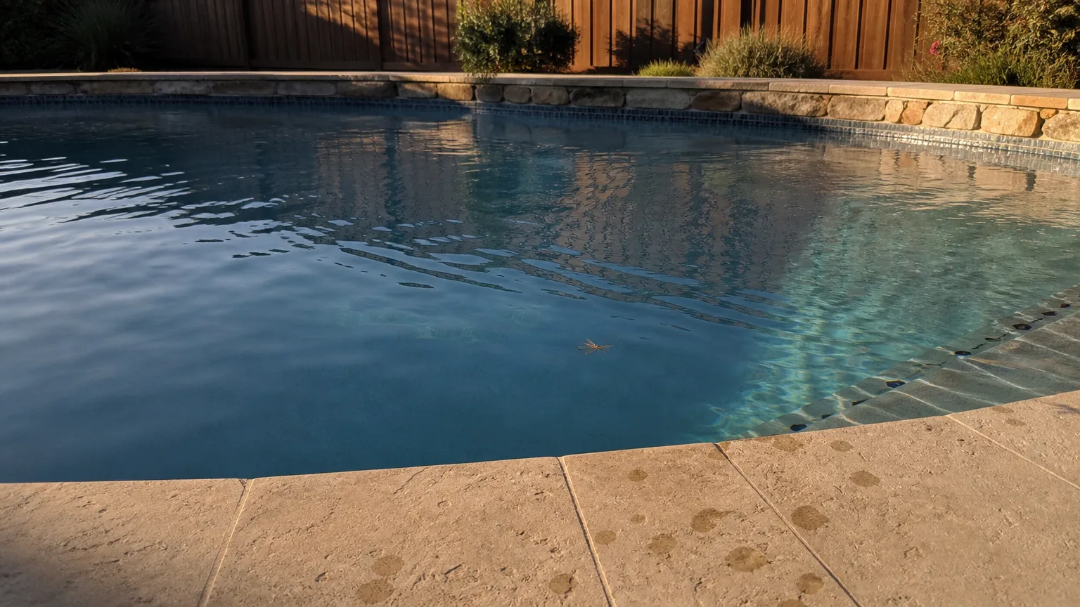 DFW residential pool at golden hour — clear water, warm light across a clean deck